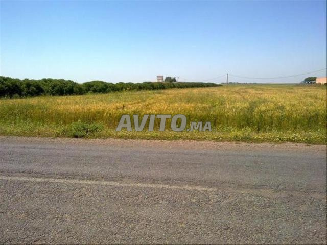 بير جديد - أراضٍ محفظة للسكن والبناء والاستثمار - 2