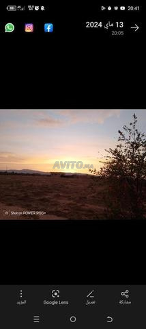 مزرعة ومنزل للبيع - 2