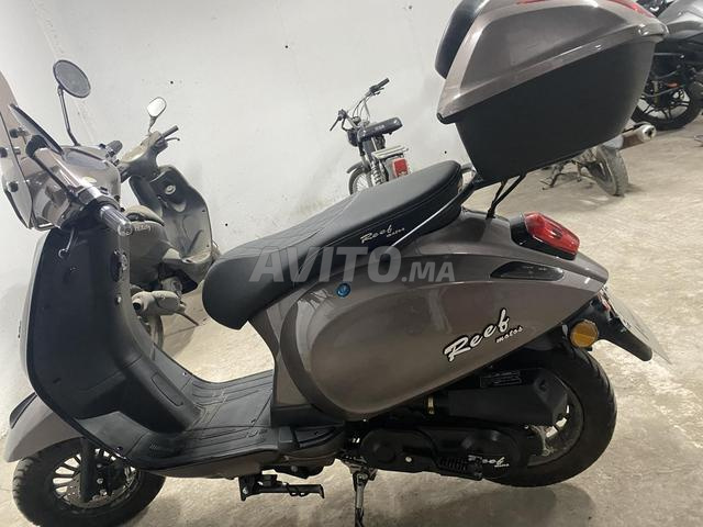 Moto Reef - 2