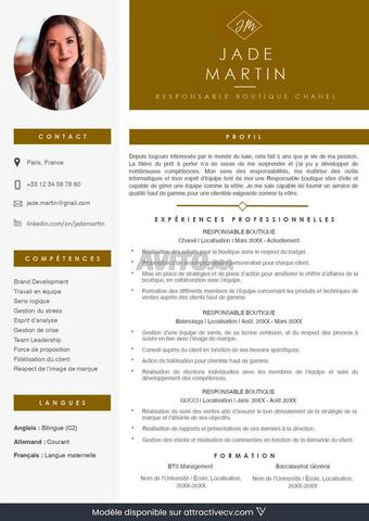 CV Professionnel | صناعة السيرة الداتية الإحترافية - 2