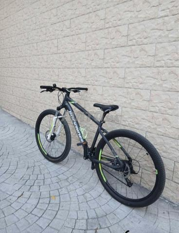 ST520 ROCKRIDER - 2