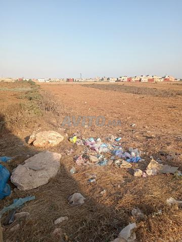 ذراع حي صناعي مور لموبلات زرقين 487 متر تيتر - 2