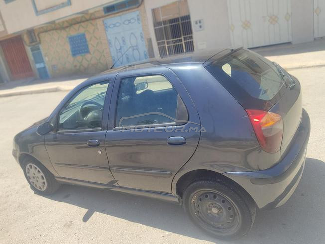فياط باليو نقية fiat palio