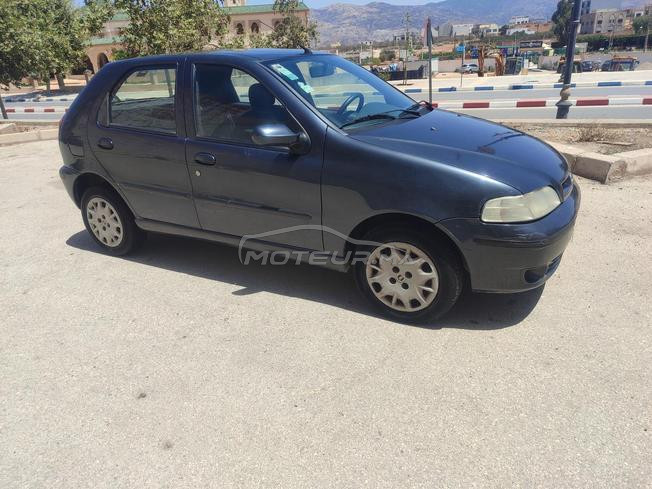 فياط باليو نقية fiat palio