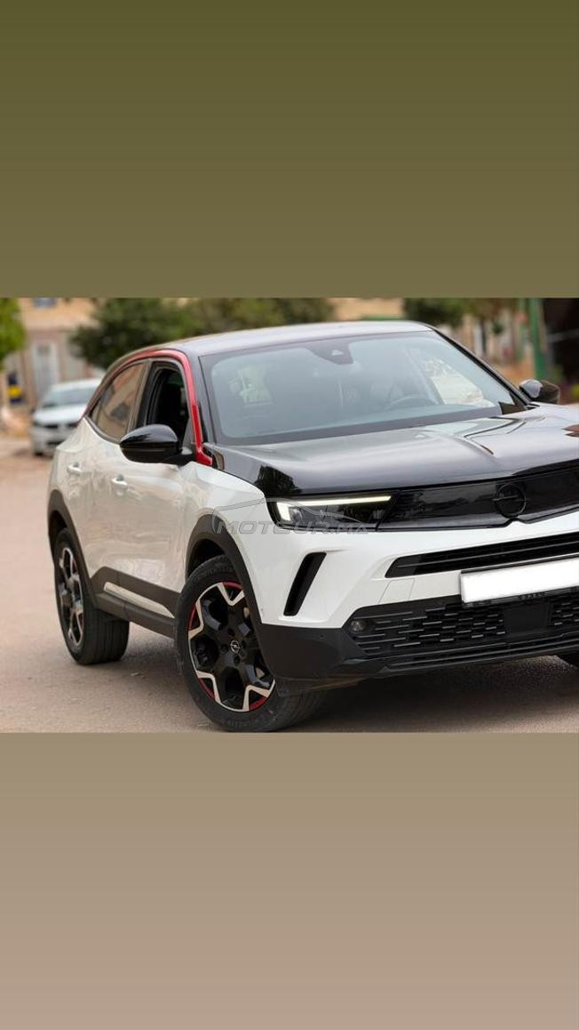 OPPEL MOKKA 2022 tout optin 