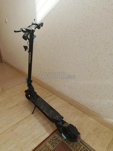 eco Xtreme g1 - 2