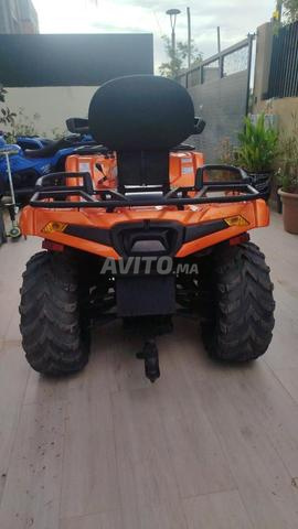 Quad Cforce 450 - 2