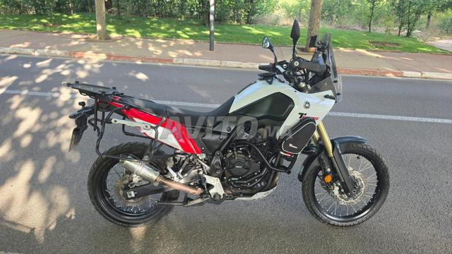 تينيري 700 2020 ديوانة 2024 - 2