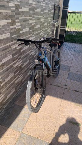 Vélo électrique / Vélo électrique