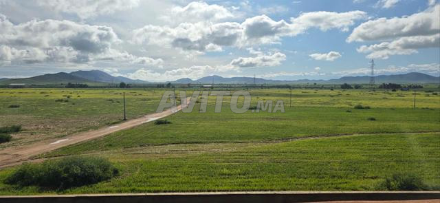 Terrain constructible à seulement 240dh/M² - 2