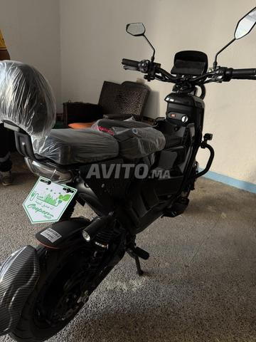 Touring pro neuf