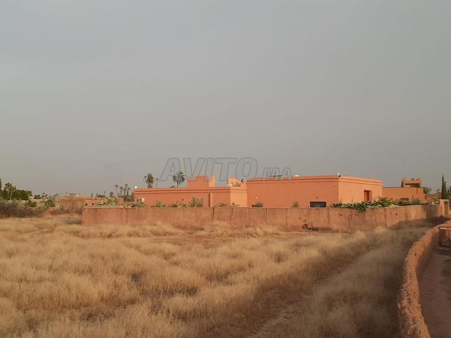 Vends terrain 1500 malkia - 2