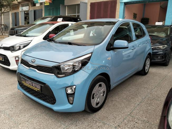 kia Picanto 