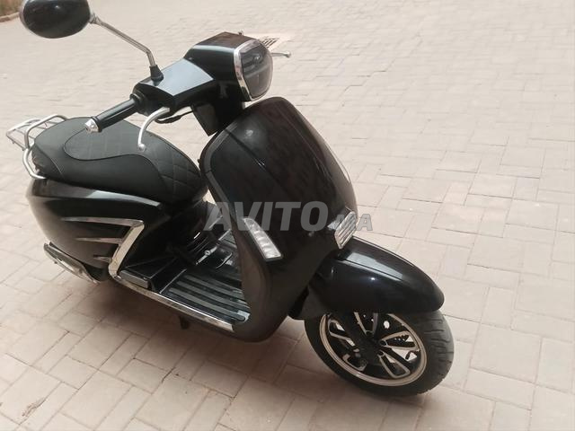 Scooter copper moto 2024 - 2
