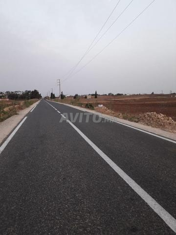 Douar Echlouh près de Had Harara, environs de Safi