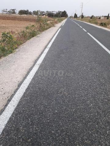 دوار الشلوح قرب حد حرارة نواحي آسفي - 2