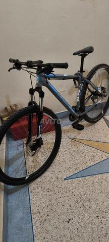 Vélo BQ pur vernis huile - 2