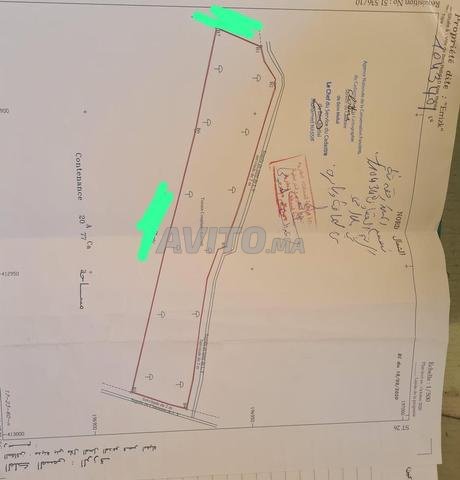 أرض للبيع محفظة مساحتها 2077 متر - 2