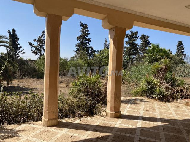 Villa à rénover, R+1, 1,5 ha près de Labissa - 2