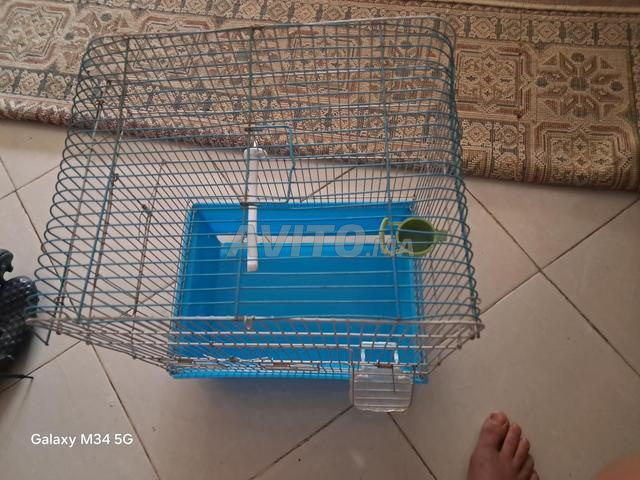 قفص لجميع أنواع الطيور - 2