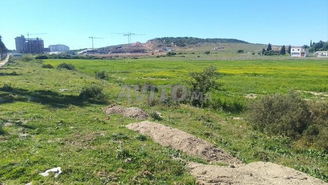 أرض محفظة للبيع بدون وسيط على الطريق الرئيسية