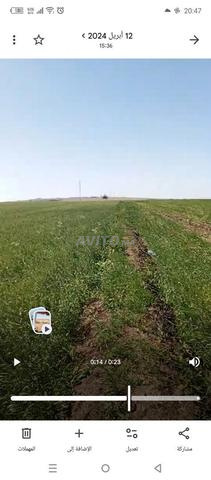 Terrain agricole Tirs - 2