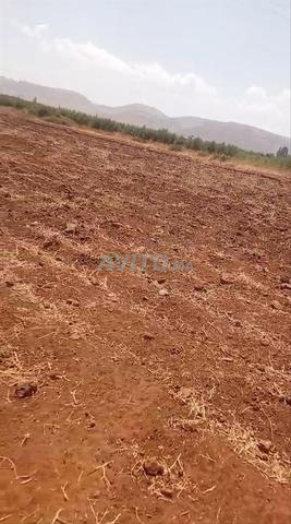 Terrain à Ait Ourir Btit, 4 hectares, prix 114 millions