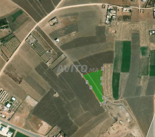 Terrain titré 4987m², Ouled Frej - 2