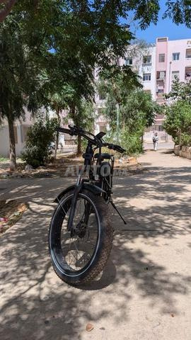 Vélo de luxe - 2
