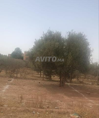 Terrain à vendre Aït Ourir titré 69m - 2
