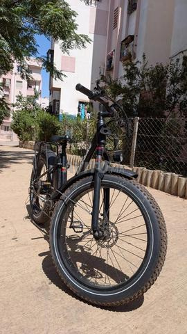 Vélo électrique de luxe - 2