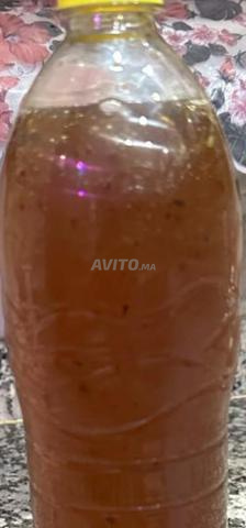 عسل حر من جبال منطقة الصويرة