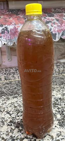 عسل حر من جبال منطقة الصويرة