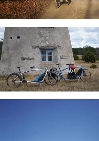 Vélos cargo Ginkgo - 2