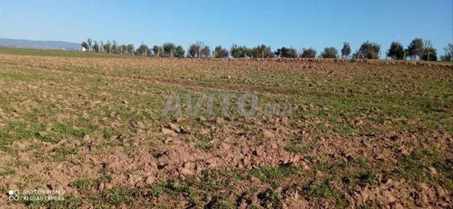 Douar Ouled Yechou - 2