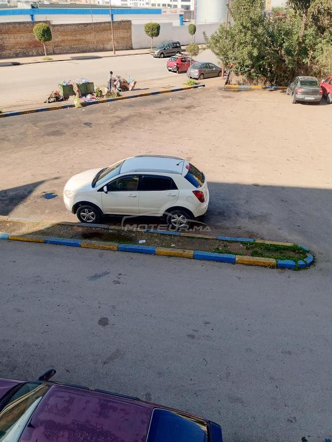 فاس نارجيس