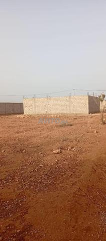 Vente à Oulad Safa Douar Azdou Biougra Terrain 1300m² ou 670m² - 2