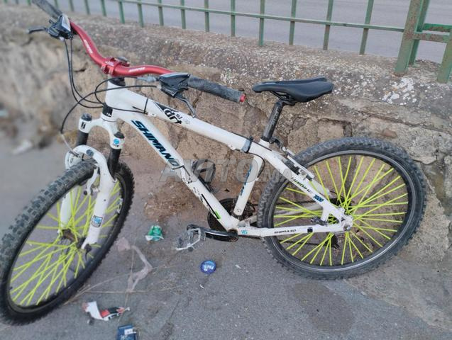 Vélo de coupe - 2