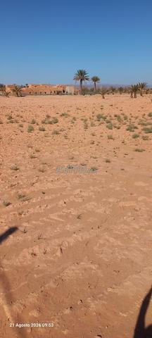 راس بوضهير قرب المسجد جماعة الروحا بوخلال. - 2