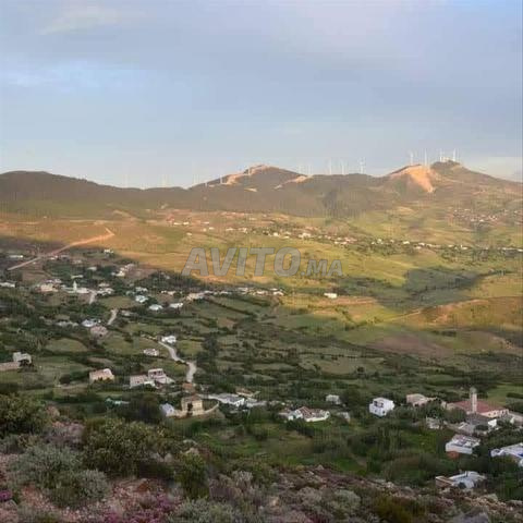 أرض للبيع بمنطقة ملوسة - 2