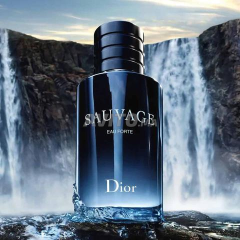 باك عطور رجالية 919 و Sauvage