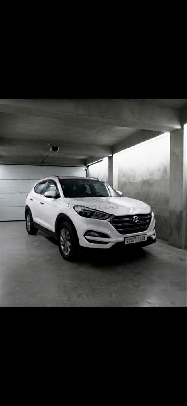 Tuscon à ventre