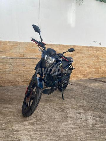 Cimatti Bulk GT50 2022 - EXCELLENT ÉTAT | Rabat - 2