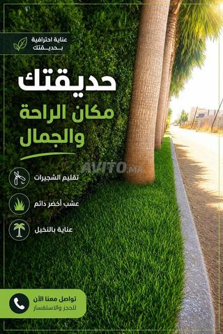 خدمات تنسيق الحدائق وصيانة المسابح – مكناس - 2
