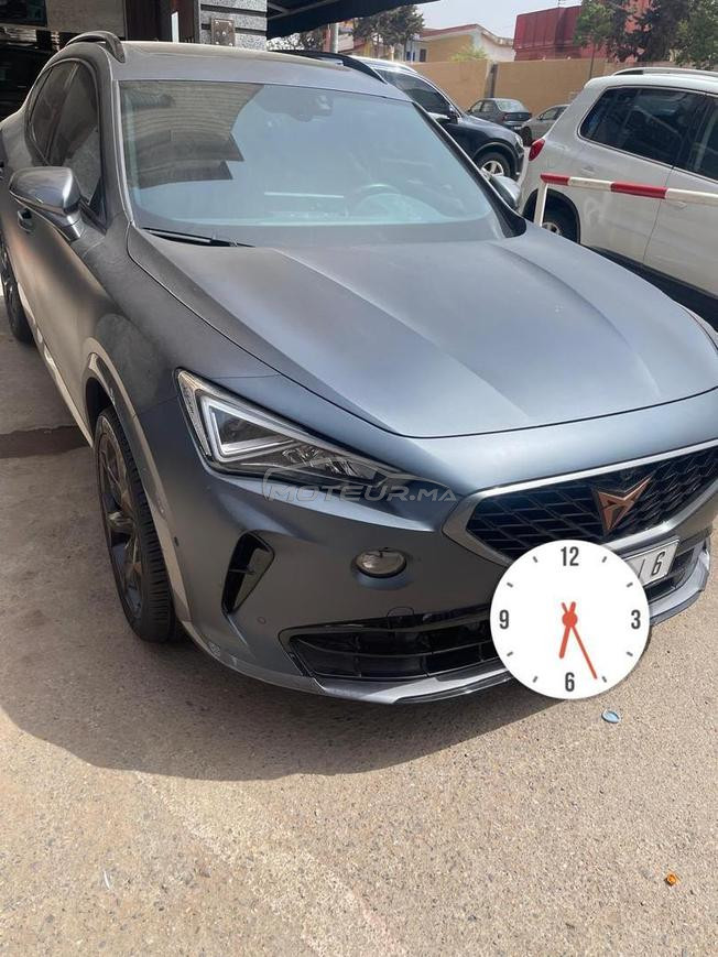 cupra for mentor 