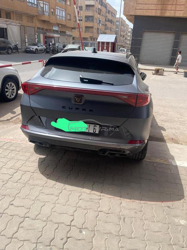 cupra for mentor 