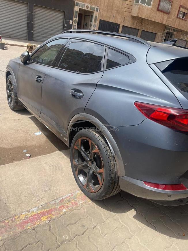 cupra for mentor 