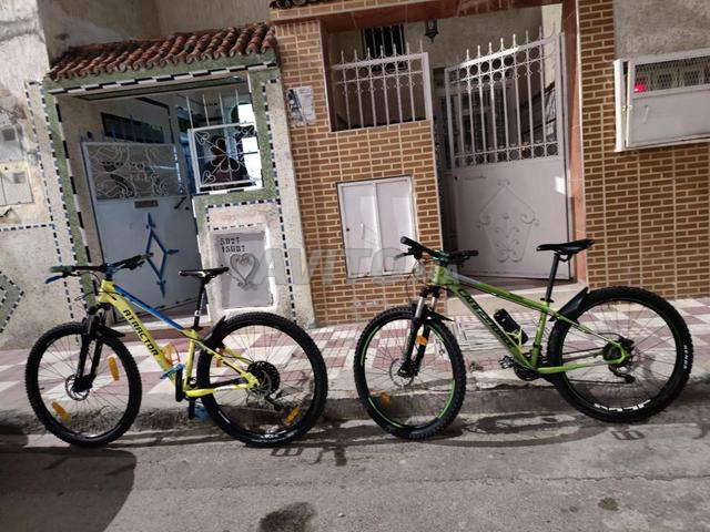 Chauen Ain Houzi - 2