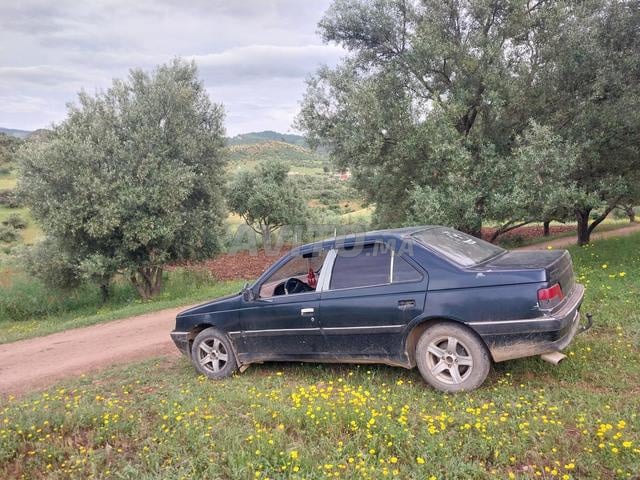 Peugeot 405