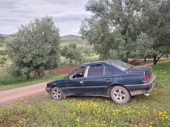 Peugeot405
